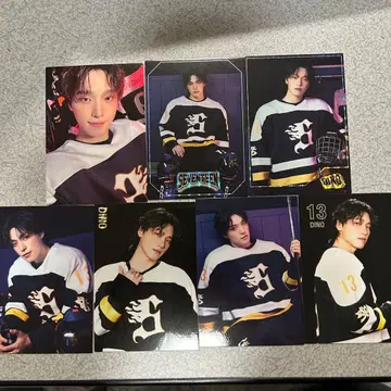 디노 트레이딩 카드 세트 셀카