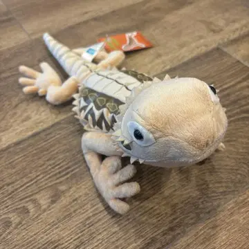 비어디드래곤 봉제 인형