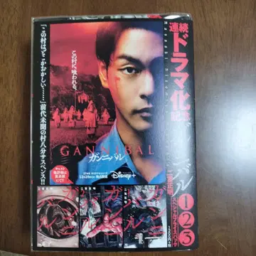 간니발 전 13권 세트