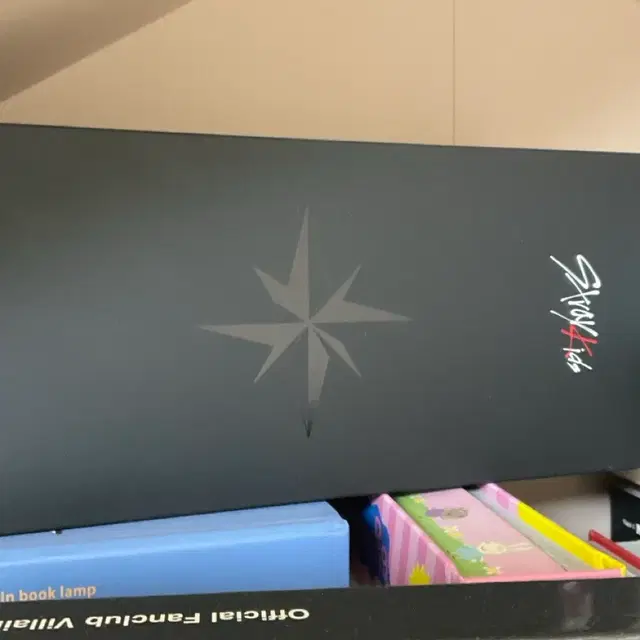 스키즈 나침봉 응원봉