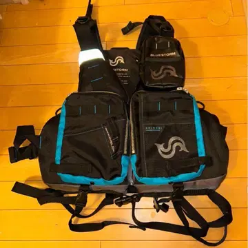 BLUESTORM SHINOBI(시노비 닌) BSJ-26RS 게임 베스트