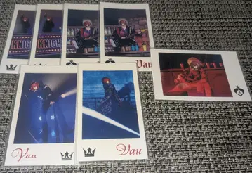 기사X (기사A) 바우군 포토 카드 7장 세트