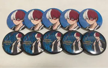 히로아카 스카잔 토도로키 쇼토 캔뱃지