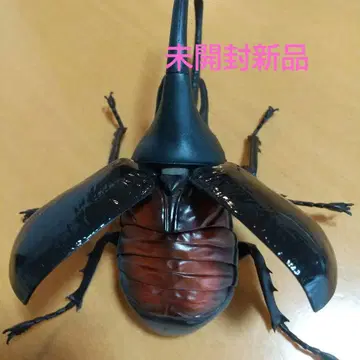 생물대도감 가부토 03 네프튠대왕풍뎅이