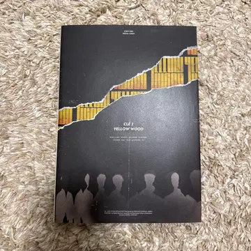 straykids 스키즈 앨범 한정판 yellowwood 방찬