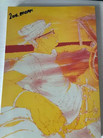 오히라 신야 koike st.break 원화집