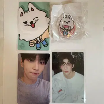 txt 수빈 트레이딩 카드 3장 캡슐 토이 1개