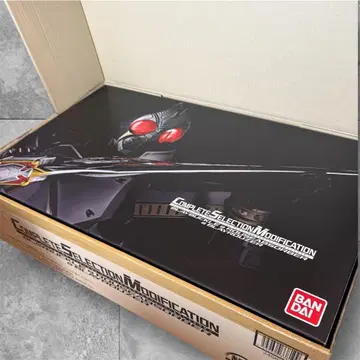 CSM 브레이 버클 & 라우즈 압소바 & 브레이 레이라