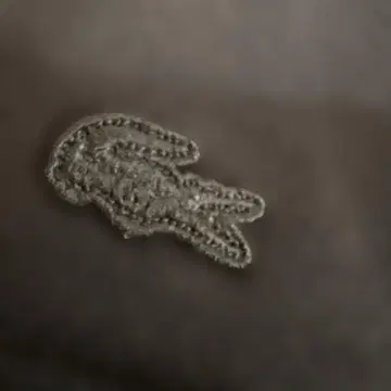 USED LACOSTE 라코스테 블랙 맨투맨 38