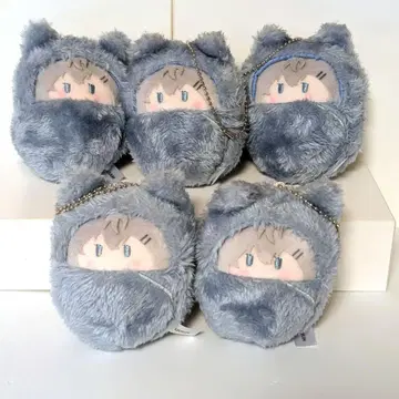 컬러풀 피치 히로 크루미 타피 봉제 인형 5개 세트  마스코트