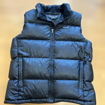 파타고니아 다운 베스트