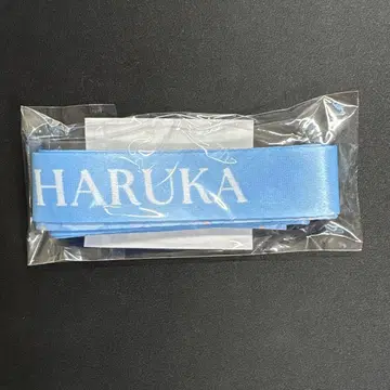 키리타니 하루카 후드티 커스텀 리본 미개봉 세카라이 4th