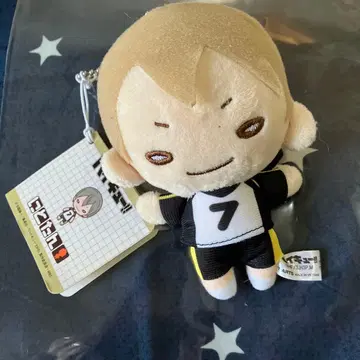 하이큐!! 니토탄 봉제 인형 코노하 아키노리 유니폼 7번
