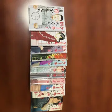 케이크를 자를 수 없는 비행 소년들 1~11권 세트