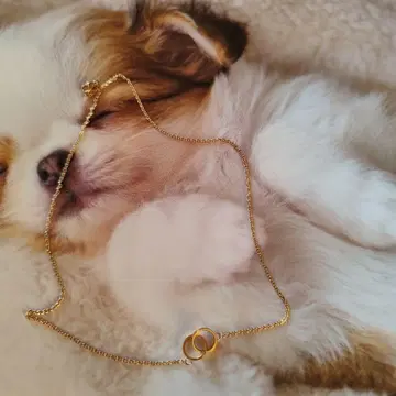 DANIEL WELLINGTON 목걸이 로즈 골드