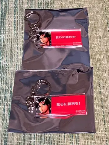 환상수전전시회 I&II전 ~환상박물관~ 대사 키링 I 주인공