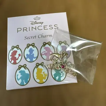 Disney Princess Secret Charm 라푼젤