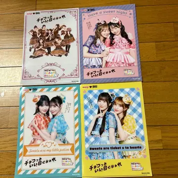 클리어 파일 4장 세트