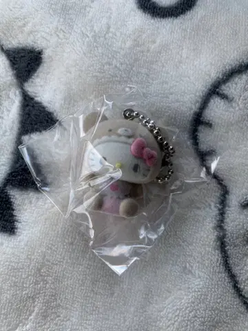 [ 미사용 새상품 ] 시크릿 오너먼트 마스코트 키티