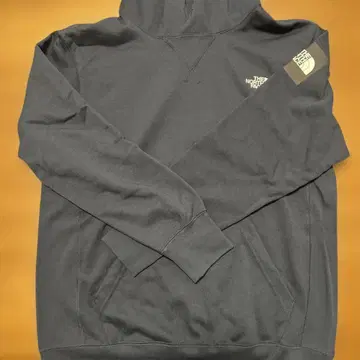 THE NORTH FACE LOGO HOODIE