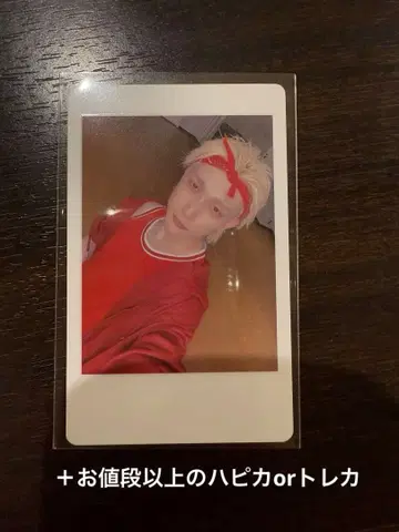 팬더드래곤 요타 하피카