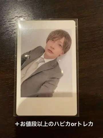 팬더드래곤 요타 하피카