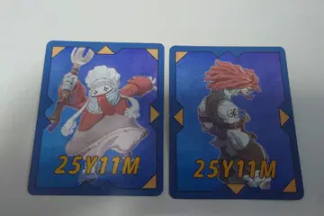 FF9 쿼드 미스트풍 카드 2종 세트