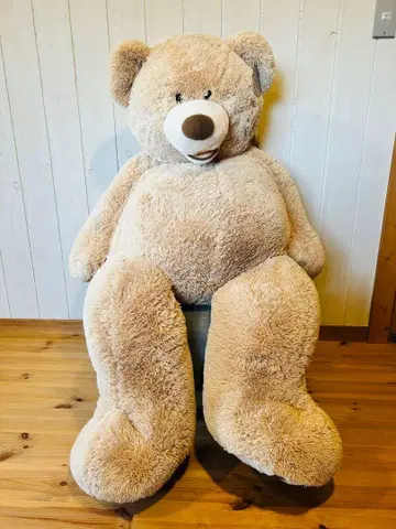 코스트코 곰 테디베어 특대형 곰돌이 봉제 인형 134cm