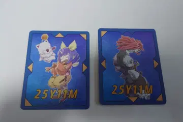 FF9 콰드미스트풍 카드 2종 세트 에이코 사라만다