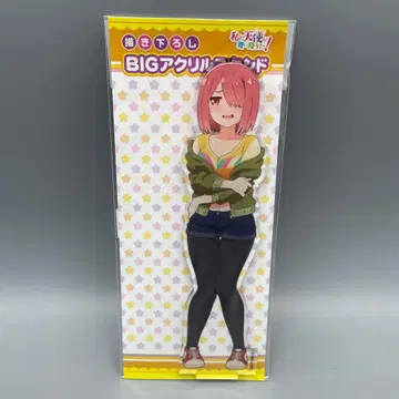 미개봉 호시노 미야코 신작 BIG 아크릴 스탠드 천사가 내게 내려왔어!