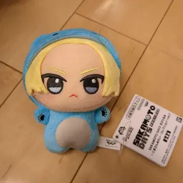 사카모토 데이즈 곰돌이 같은 컬렉션 SD 인형 아사쿠라 신