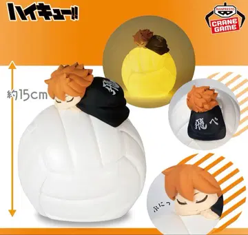 하이큐!! 쌔근쌔근 룸 라이트 히나타 쇼요