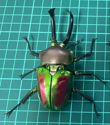 생물대도감 어드밴스 무지개사슴벌레