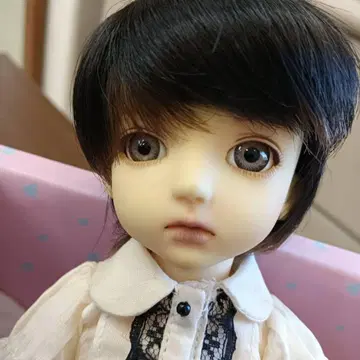 커스텀하우스 Petite Ai 우르