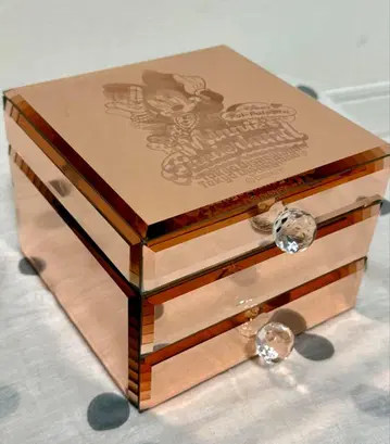 미니 마우스 파르팔루자 팬더랜드 쥬얼리 박스