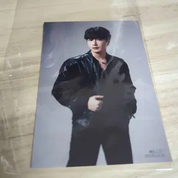 크리스 Krist 브로마이드 그라테