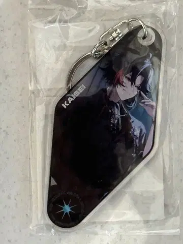 니지산지 와르츠 2025 한국 AGF 회장 한정판 카이세이 아크릴 키링