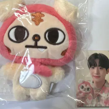 CRAVITY ccrew 란모 정모 플랫 퍼 인형