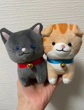 주식회사 크랙스 니코 봉제 인형 고양이