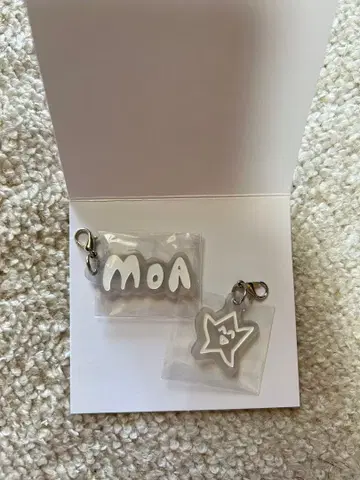 태현 아크릴 참