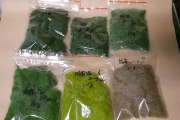 디오라마 레이아웃의 풀, 초원, 목초 표현에 최적 시너리 5종 세트