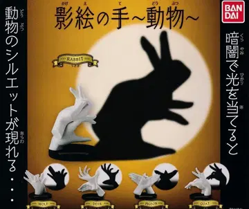 그림자 놀이 손~동물~ [ 총 5종 ]