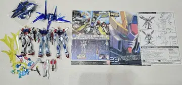 RG HG 빌드 스트라이크 건담 RG 시스템 이미지 컬러 건담 프라모델