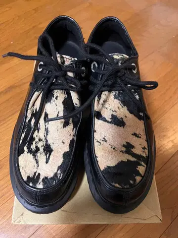 닥터마틴 ZEFFIR 애니멀 무늬 25cm