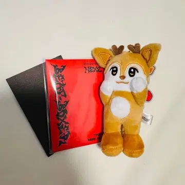 NEXZ 세이디 Beat boxcer NEXOO반