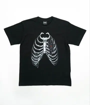 noremid 노리미드 본T M 사이즈