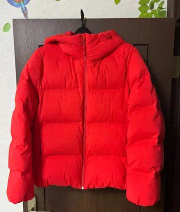 빨간색 후드 부착 다운 자켓 (UNIQLO)