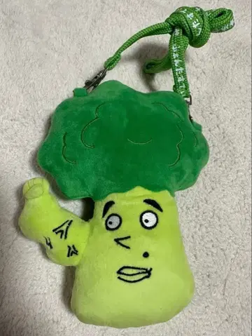 야기 유세이 야기코리 패스 케이스