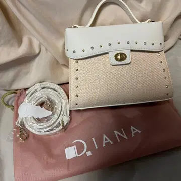 DIANA 스터드 핸드백 카고백