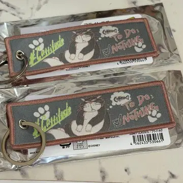 디즈니 클래식 플라이트 택